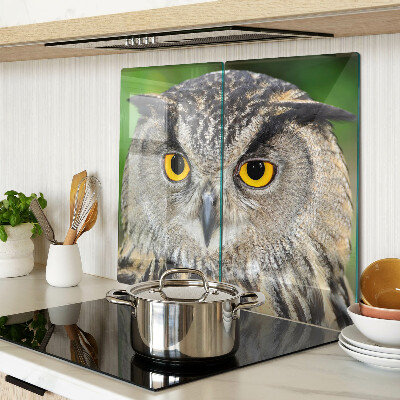 Glass kitchen board Owl with expressive eyes