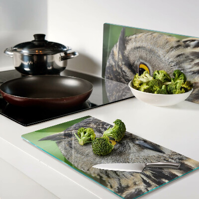 Glass kitchen board Owl with expressive eyes