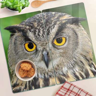 Glass kitchen board Owl with expressive eyes