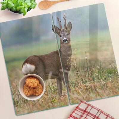 Glass chopping board Roe deer in natural habitat