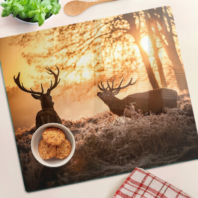 Glass chopping board Deer in the forest at sunset