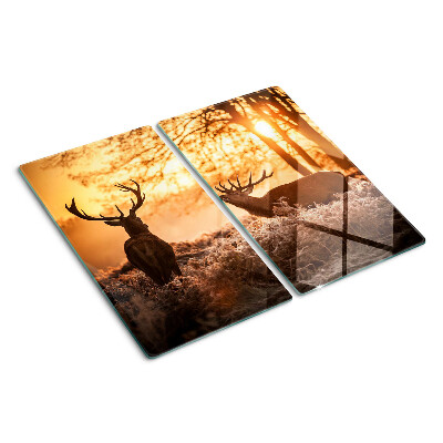Glass chopping board Deer in the forest at sunset