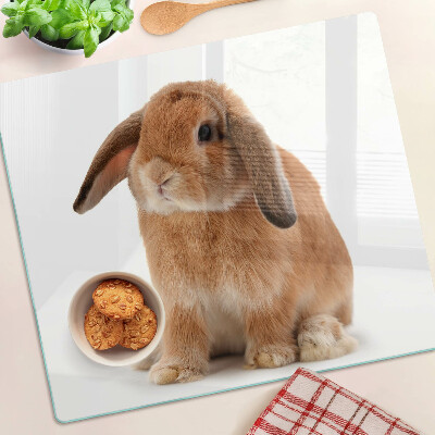 Glass kitchen board Rabbit on a white background