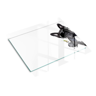 Glass kitchen board Dog with sunglasses