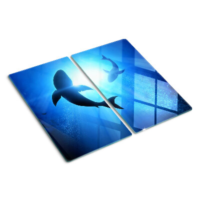 Glass kitchen board Sharks in underwater light
