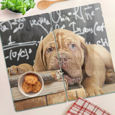 Glass kitchen board Dog with books and a blackboard