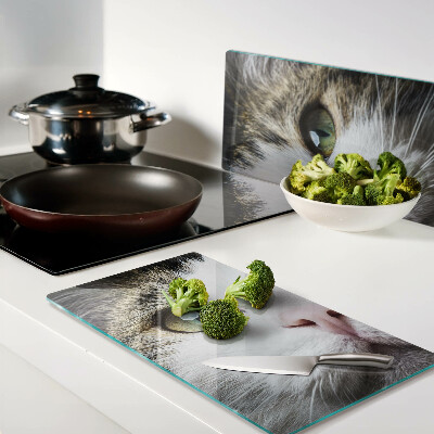 Glass kitchen board Cat with green eyes