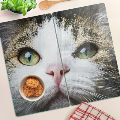 Glass kitchen board Cat with green eyes