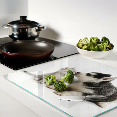 Glass kitchen board Kitten and puppy in friendship