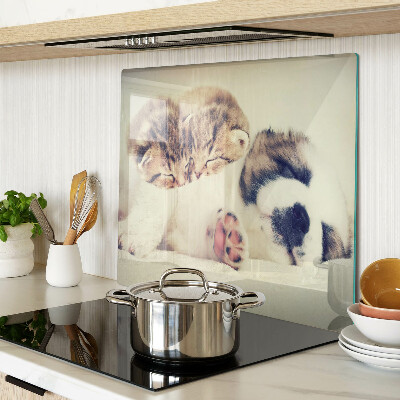 Glass chopping board Cats and a dog sleeping together