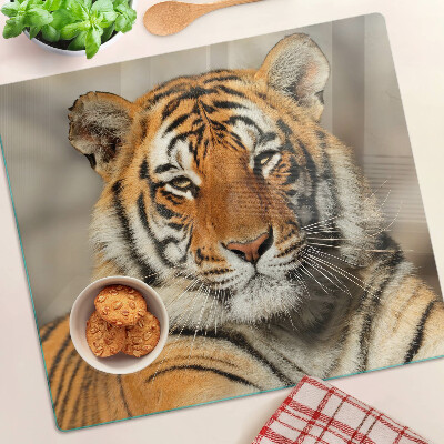 Glass kitchen board Tiger in a natural setting
