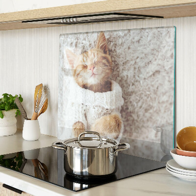 Glass kitchen board Cute kitty in a sweater
