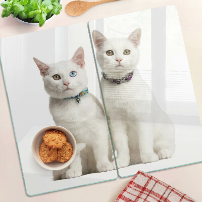 Glass kitchen board White cats with different colored eyes
