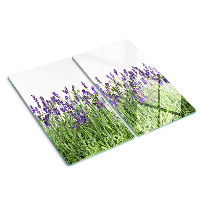 Glass kitchen board Lavender field in the sun