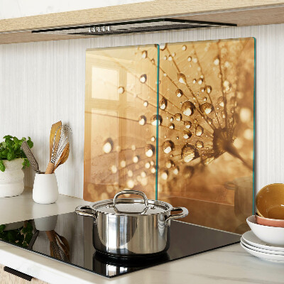 Glass kitchen board Water drops on a dandelion