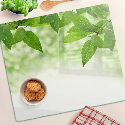 Glass chopping board Leaves against a background of blurred green