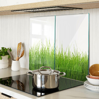 Glass kitchen board Grass in the sun