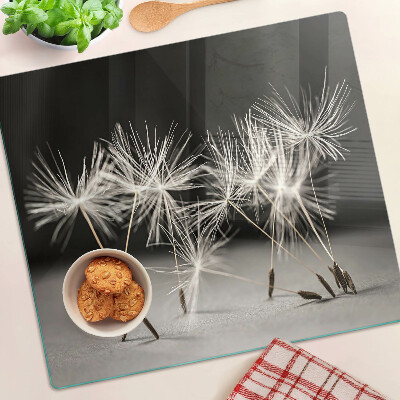 Glass kitchen board Fluffy dandelions on a monochromatic background