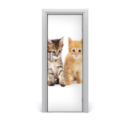 Self-adhesive door sticker Gray and red cat