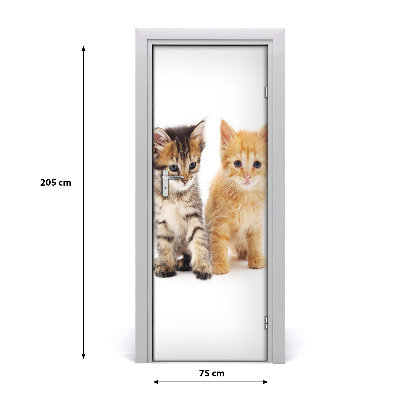 Self-adhesive door sticker Gray and red cat