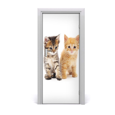 Self-adhesive door sticker Gray and red cat