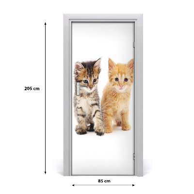 Self-adhesive door sticker Gray and red cat