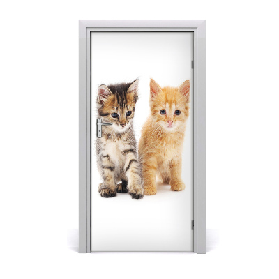 Self-adhesive door sticker Gray and red cat