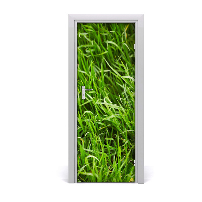 Self-adhesive door sticker Against the wall. Grass