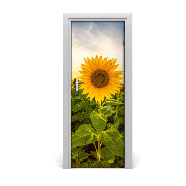 Self-adhesive door wallpaper Field of sunflowers