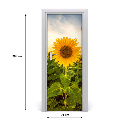 Self-adhesive door wallpaper Field of sunflowers