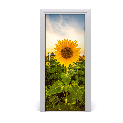 Self-adhesive door wallpaper Field of sunflowers