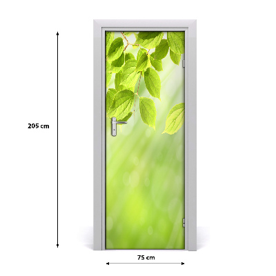 Door wallpaper Green leaves