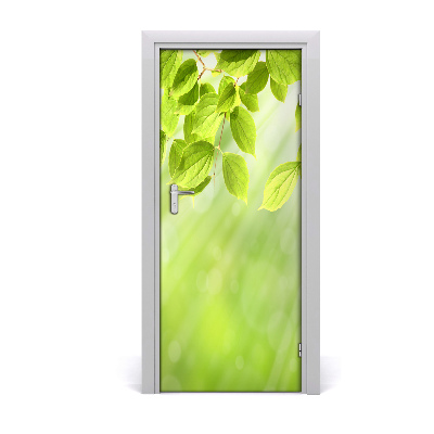 Door wallpaper Green leaves