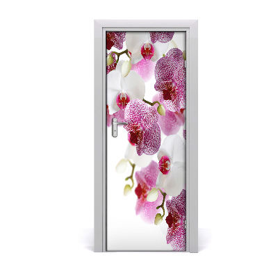 Door adhesive Orchid