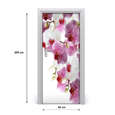 Door adhesive Orchid