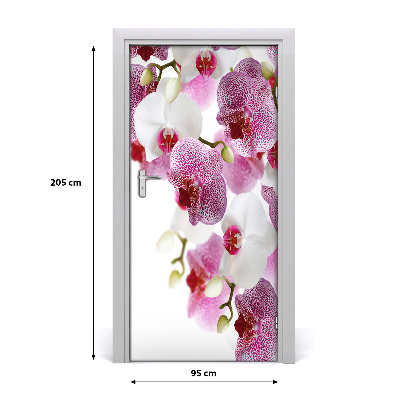 Door adhesive Orchid