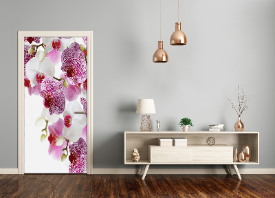 Door adhesive Orchid