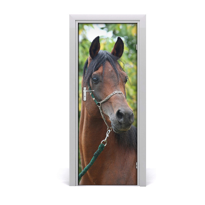 Self-adhesive door sticker Portrait of a horse