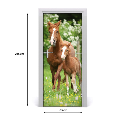 Self-adhesive door sticker Mare and foal