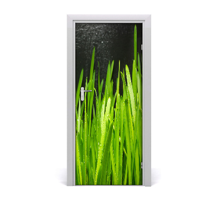 Door adhesive Blades of grass