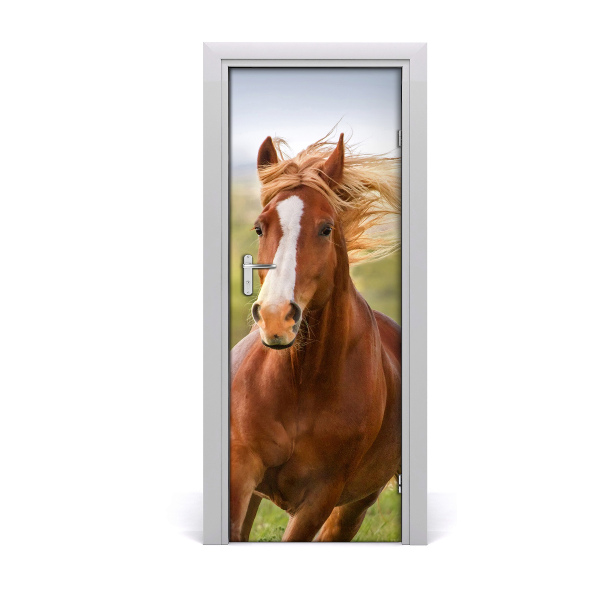 Self-adhesive door sticker Horse in gallop