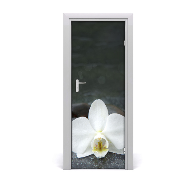 Door adhesive Orchid