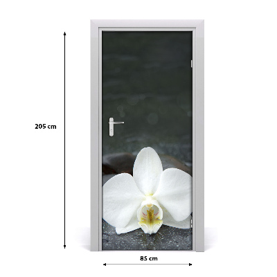 Door adhesive Orchid