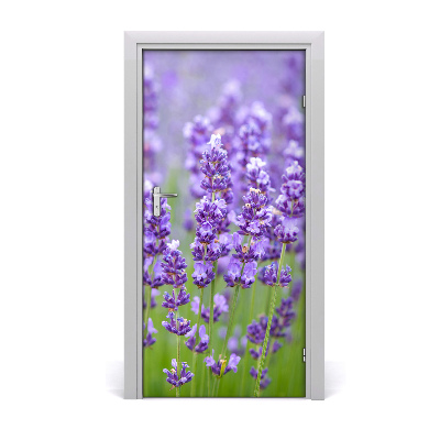 Door adhesive Lavender field