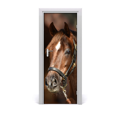 Self-adhesive door sticker Portrait of a horse