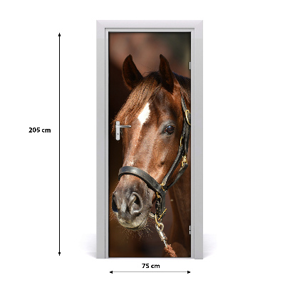 Self-adhesive door sticker Portrait of a horse