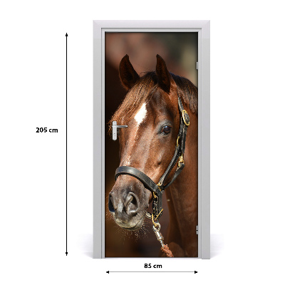 Self-adhesive door sticker Portrait of a horse