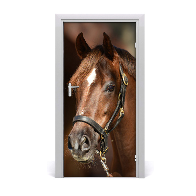 Self-adhesive door sticker Portrait of a horse