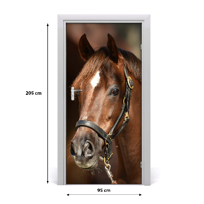 Self-adhesive door sticker Portrait of a horse