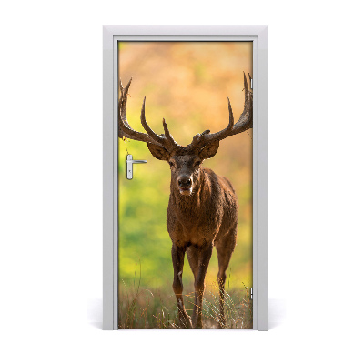 Self-adhesive door wallpaper Deer in the forest